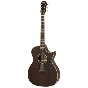 アリア　エレアコ Amazon | ARIA APE-100 SR シースルーレッド アコースティック